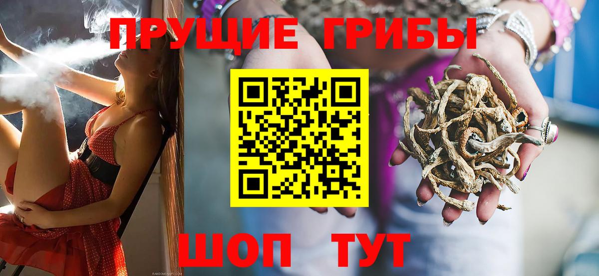 Сатка  закладка  Вход с VPN  Псилоцибиновые грибы MAGIC MUSHROOMS 