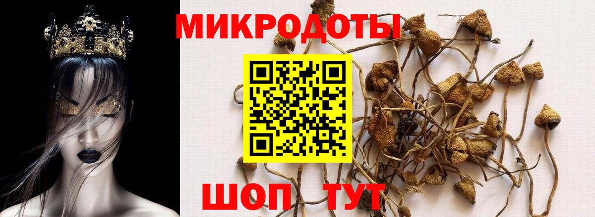 Галлюциногенные грибы MAGIC MUSHROOMS Сатка